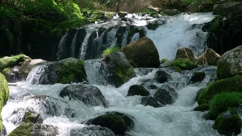 Waterfall in a Mountain Forest Captured on a Sunny Spring Day Stock Footage 102083166