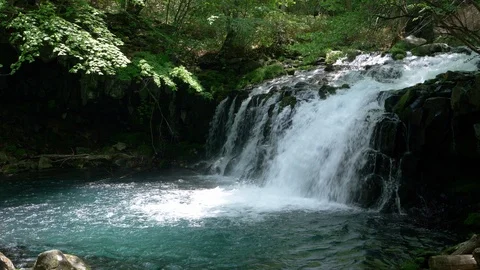 Waterfall in a Mountain Forest Captured on a Sunny Spring Day Stock Footage 102121119