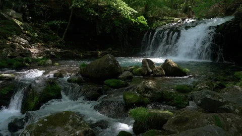 Waterfall in a Mountain Forest Captured on a Sunny Spring Da Stockbeeldmateriaal 102134778
