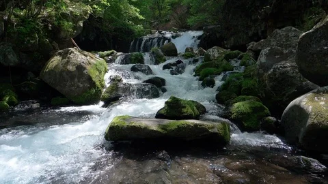 Waterfall in a Mountain Forest Captured on a Sunny Spring Day (slow motion) Stock Footage 102355368
