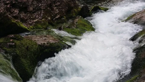 Waterfall in the mountain forest of Crimea. Vídeo Stock 79228295