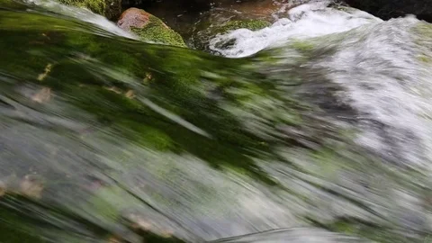 Waterfall in the mountain forest of Crimea. Stock Footage 79228422