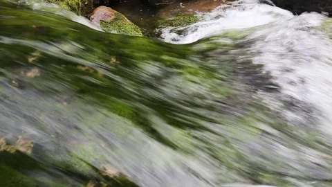 Waterfall in the mountain forest of Crimea. Video stock 79228434