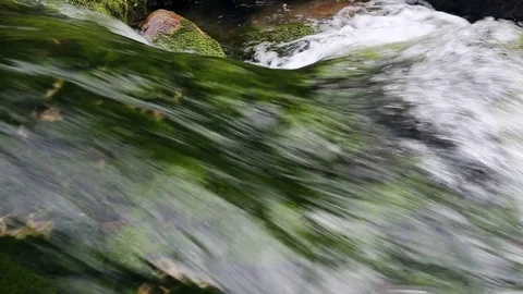 Waterfall in the mountain forest of Crimea. 動画素材 79233753