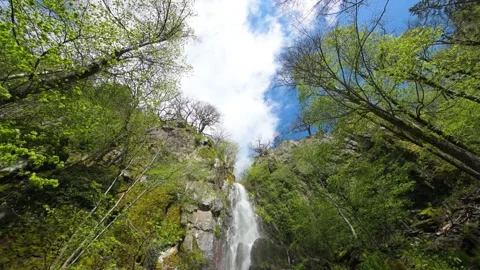 Waterfall in a mountain forest in early spring. Stock Footage 154002773