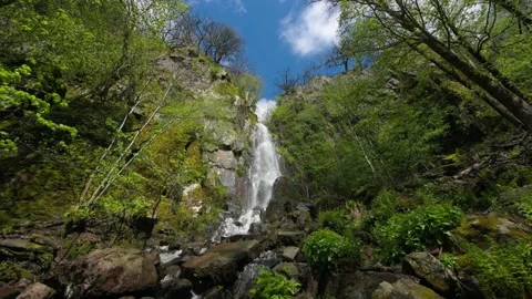 Waterfall in a mountain forest in early spring. Stock Footage 154002837