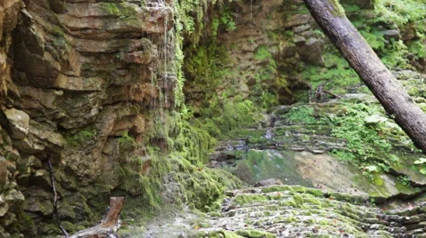 Waterfall in mountain forest Stock Footage 43308380