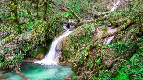 Waterfall in the Mountain Forest Stock Footage 146688761