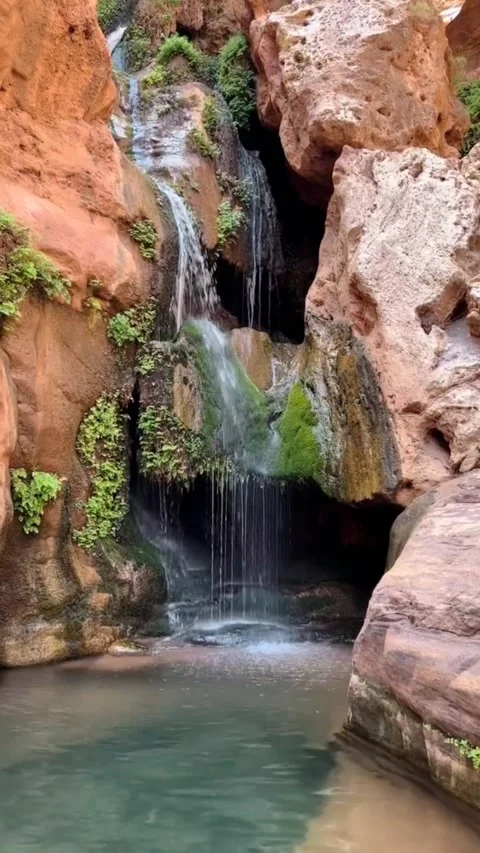 Waterfall from mountain forest Video stock 228685375