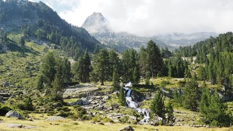 Waterfall in a Mountain Forest Stock Photos