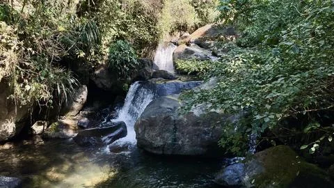 Waterfall in the mountain forest Foto stock