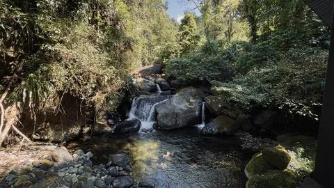 Waterfall in the mountain forest Stock Photos