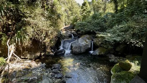 Waterfall in the mountain forest Stock Photos