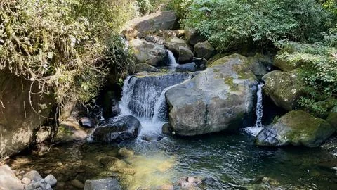 Waterfall in the mountain forest Stock Photos