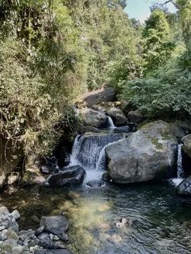 Waterfall in the mountain forest Stock Photos