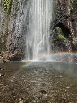 Waterfall in the mountain forest Stock Photos