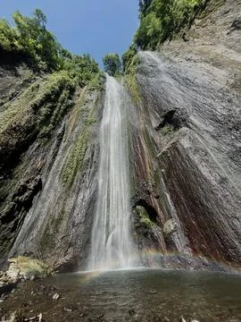 Waterfall in the mountain forest Stock Photos