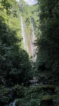 Waterfall in the mountain forest Stock Photos