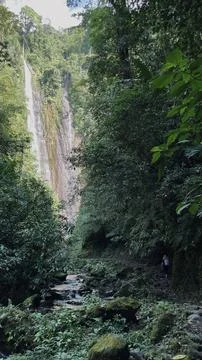 Waterfall in the mountain forest Stock Photos
