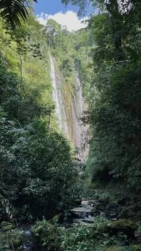 Waterfall in the mountain forest Stock Photos