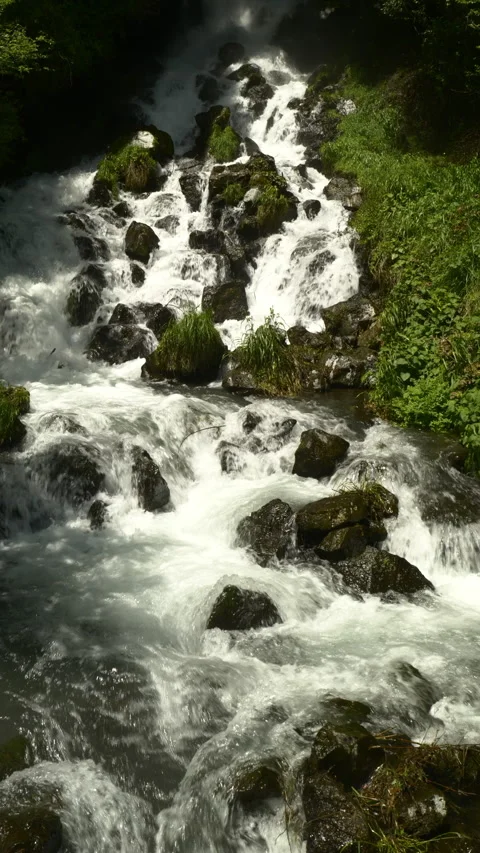Waterfall in Mountain Forest in Spring (Vertical/Realtime/PANNING) Stock Footage 340311582