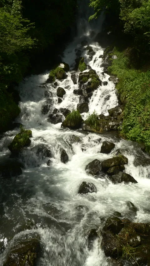 Waterfall in Mountain Forest in Spring (Vertical/Realtime/STATIC) Stock Footage 340311721