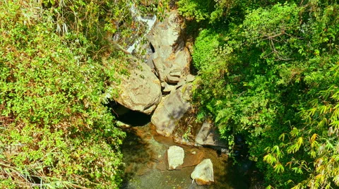 Waterfall mountain Nepal forest. Water fall rocks. Nature background 4k video. Stock Footage 64821956