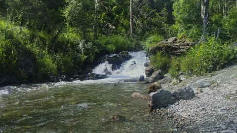 A waterfall of a mountain river with clear water among a green forest. Vídeos de archivo 301693773
