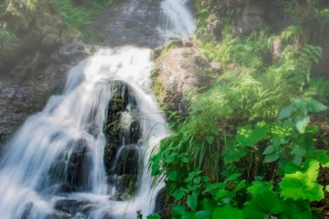 Waterfall on mountain river 스톡 사진