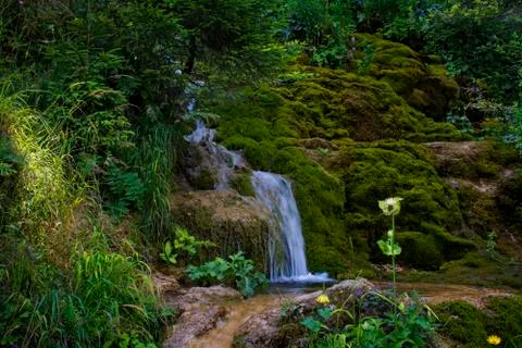Waterfall on mountain river Foto stock
