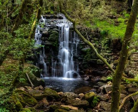 Waterfall in a mountain river Stock Photos