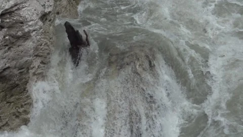 Waterfall in mountain river. Rocks in the river. Slow motion. Nature reserve. 動画素材 144437747