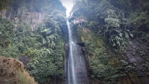 Waterfall from mountain spring in the middle of forest with green plants Video stock 294273737