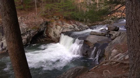 Waterfall Mountain Stream and Trees Video stock 170829838