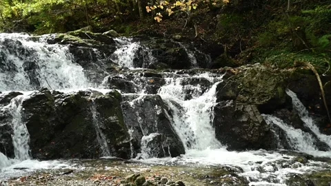 A waterfall from a mountain stream in autumn, slow motion Video stock 288149348
