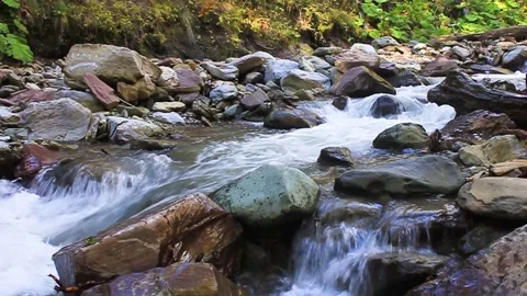 Waterfall on a mountain stream. Stock Footage 169653819