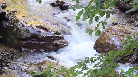 Waterfall on a mountain stream. Stock Footage 169653872