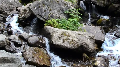Waterfall in the mountain in the summer down Stock Footage 245662973