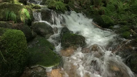 Waterfall in mountain torrent in spring. Stock Footage 235036852