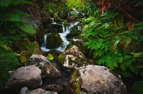 Waterfall mountain view close up. Mountain river waterfall landscape. Waterfa Stock Photos