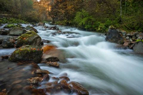 Waterfall mountain view close up. Mountain river waterfall landscape. Waterfa Stock Photos
