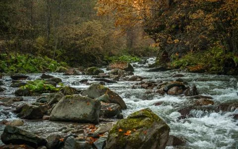 Waterfall mountain view close up. Mountain river waterfall landscape. Waterfa Stock Photos
