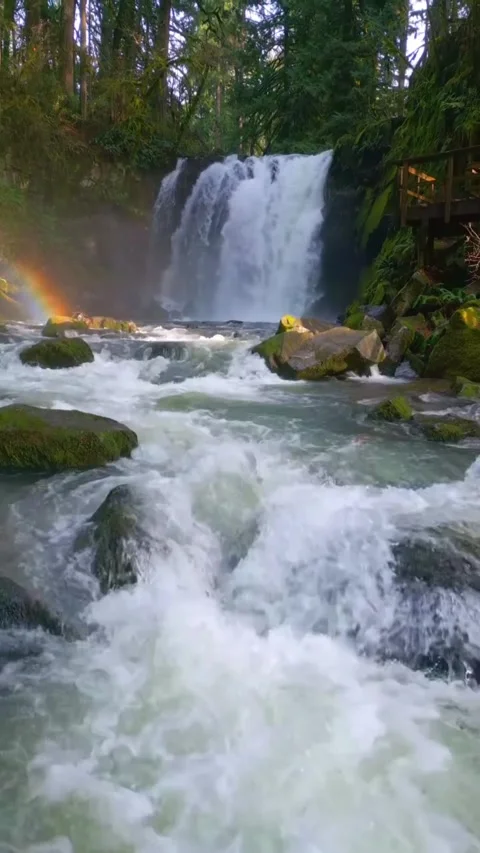 Waterfall in the mountains and rocks Stock Footage 274043529