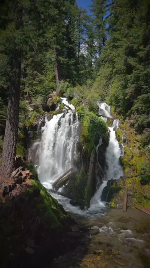 Waterfall in the mountains between trees Stock Footage 274044159