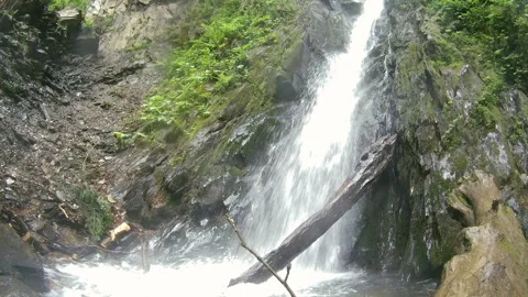 Waterfall in mountains forest with broken tree Video stock 91921719