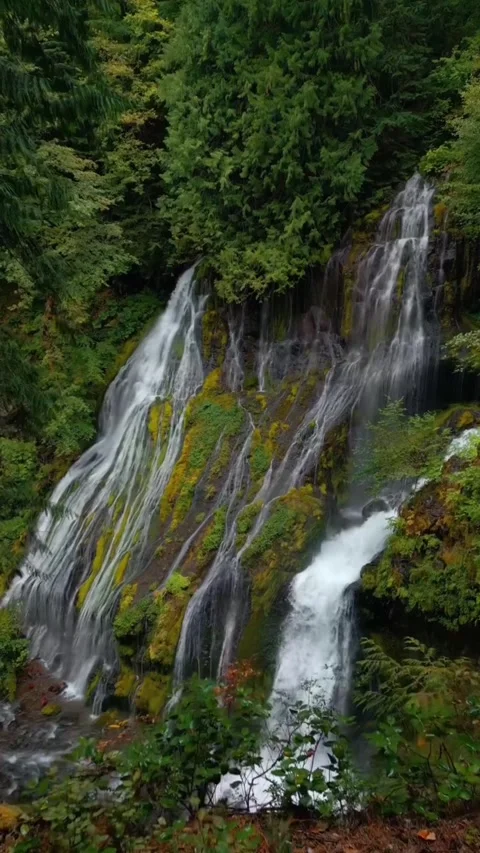 Waterfall in the mountains in forest Stock Footage 274279874