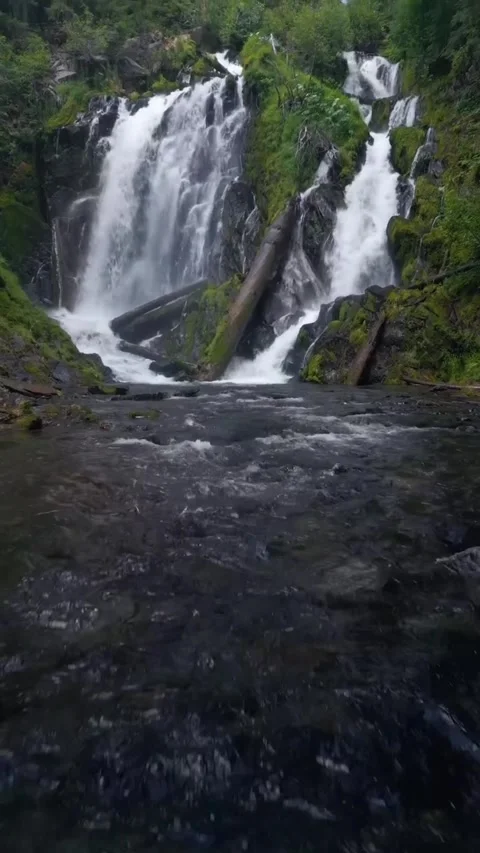 Waterfall in the mountains in forest Stock Footage 274867061