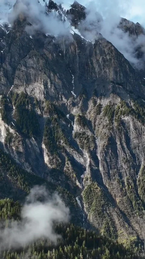 Waterfall in the mountains with grass Stock Footage 273075497