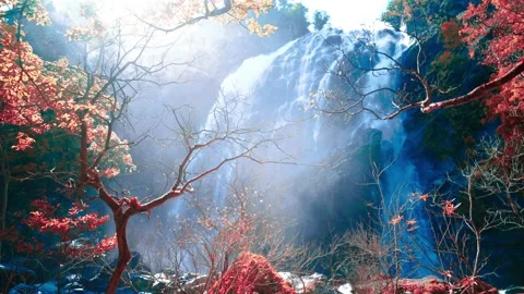 Waterfall in the mountains, Khlong Lan Waterfall 動画素材 229087683