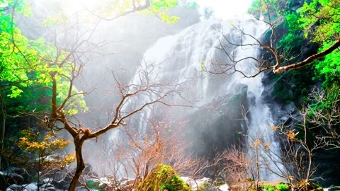Waterfall in the mountains, Khlong Lan Waterfall 動画素材 229087688